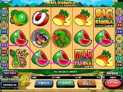 Big Kahuna -L- Snakes & Ladders