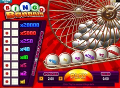 Bingo Bonanza